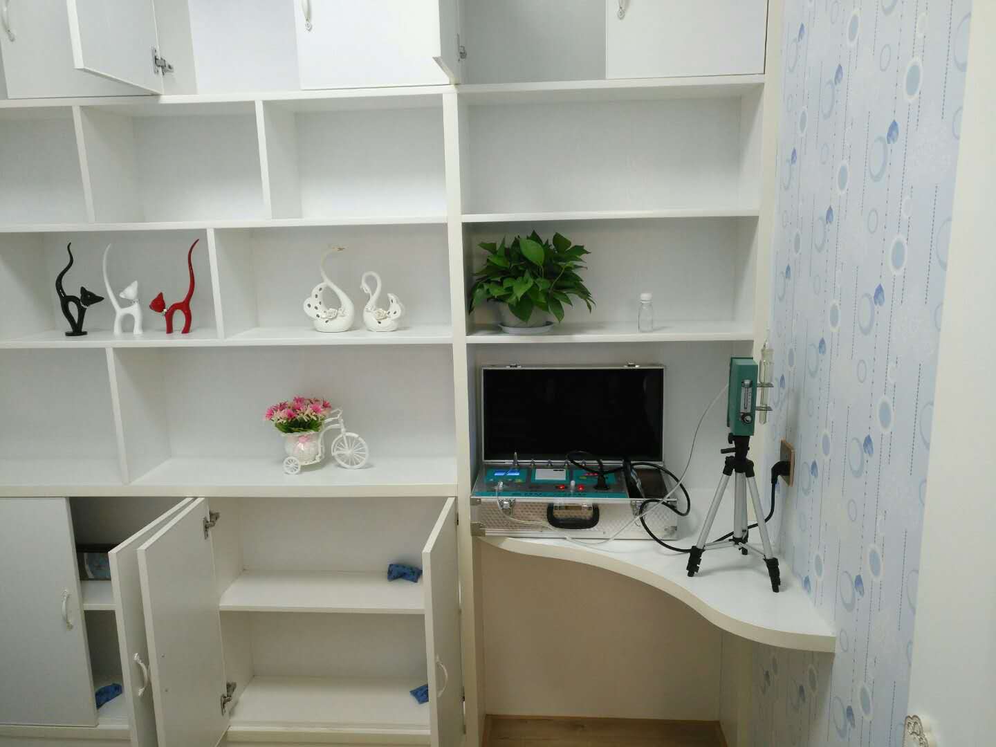 武漢市嘉凈鴻環(huán)?？萍加邢薰? style=