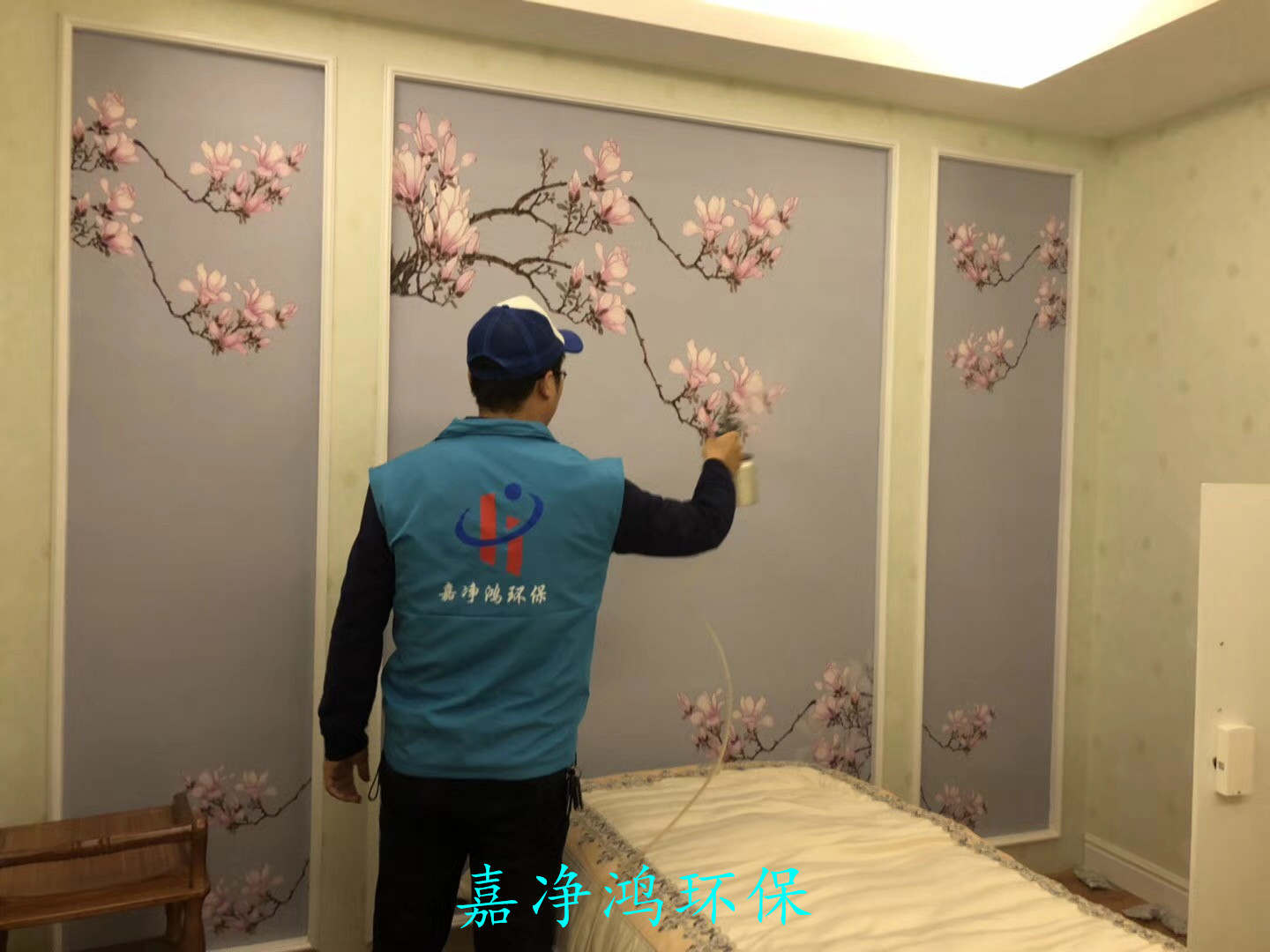 武漢市嘉凈鴻環(huán)?？萍加邢薰? style=