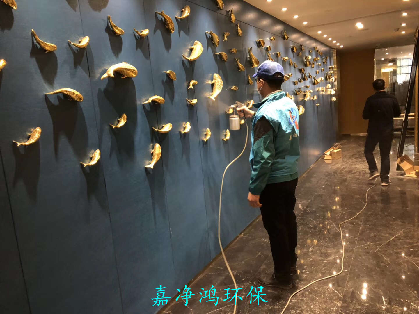 武漢市嘉凈鴻環(huán)?？萍加邢薰? style=