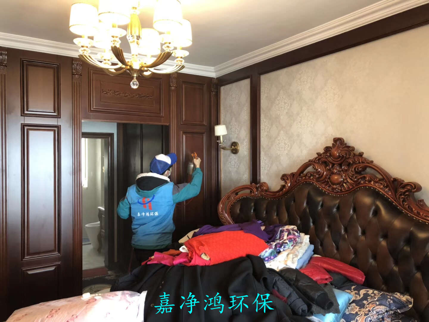 武漢市嘉凈鴻環(huán)?？萍加邢薰? style=