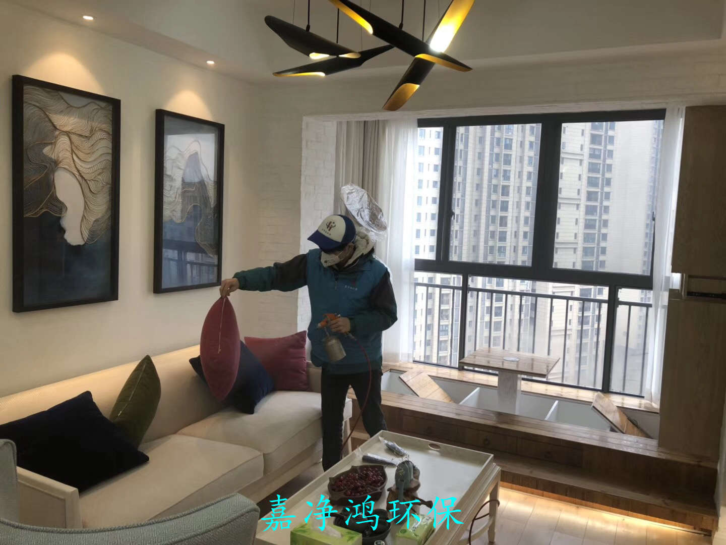 武漢市嘉凈鴻環(huán)?？萍加邢薰? style=