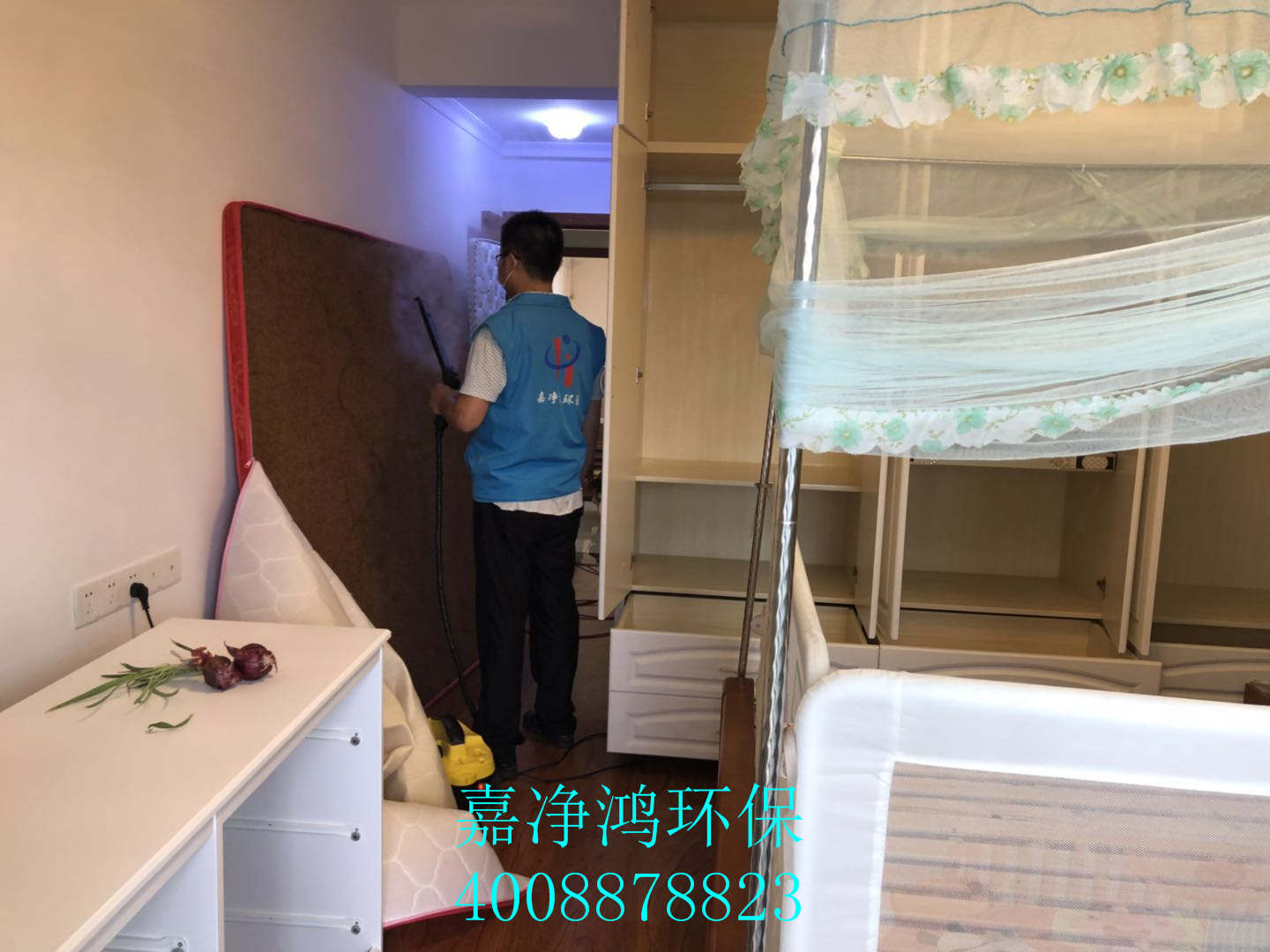 武漢市嘉凈鴻環(huán)?？萍加邢薰? style=