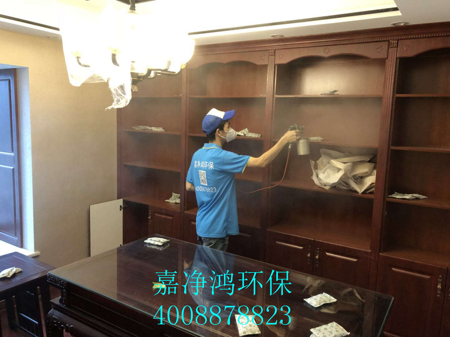 武漢市嘉凈鴻環(huán)?？萍加邢薰? style=