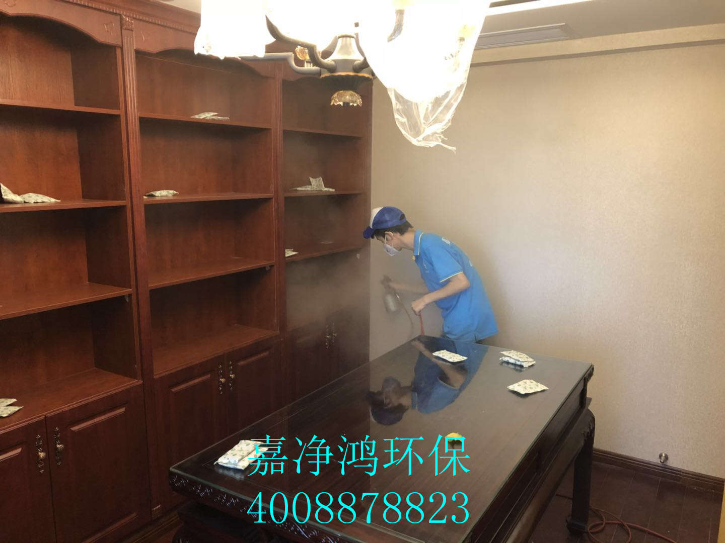 武漢市嘉凈鴻環(huán)?？萍加邢薰? style=