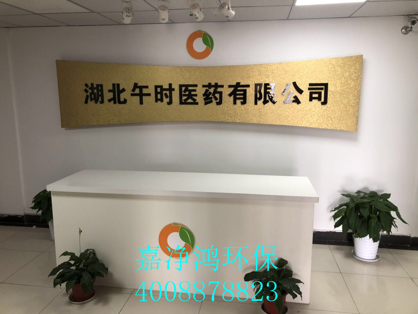 武漢市嘉凈鴻環(huán)?？萍加邢薰? style=
