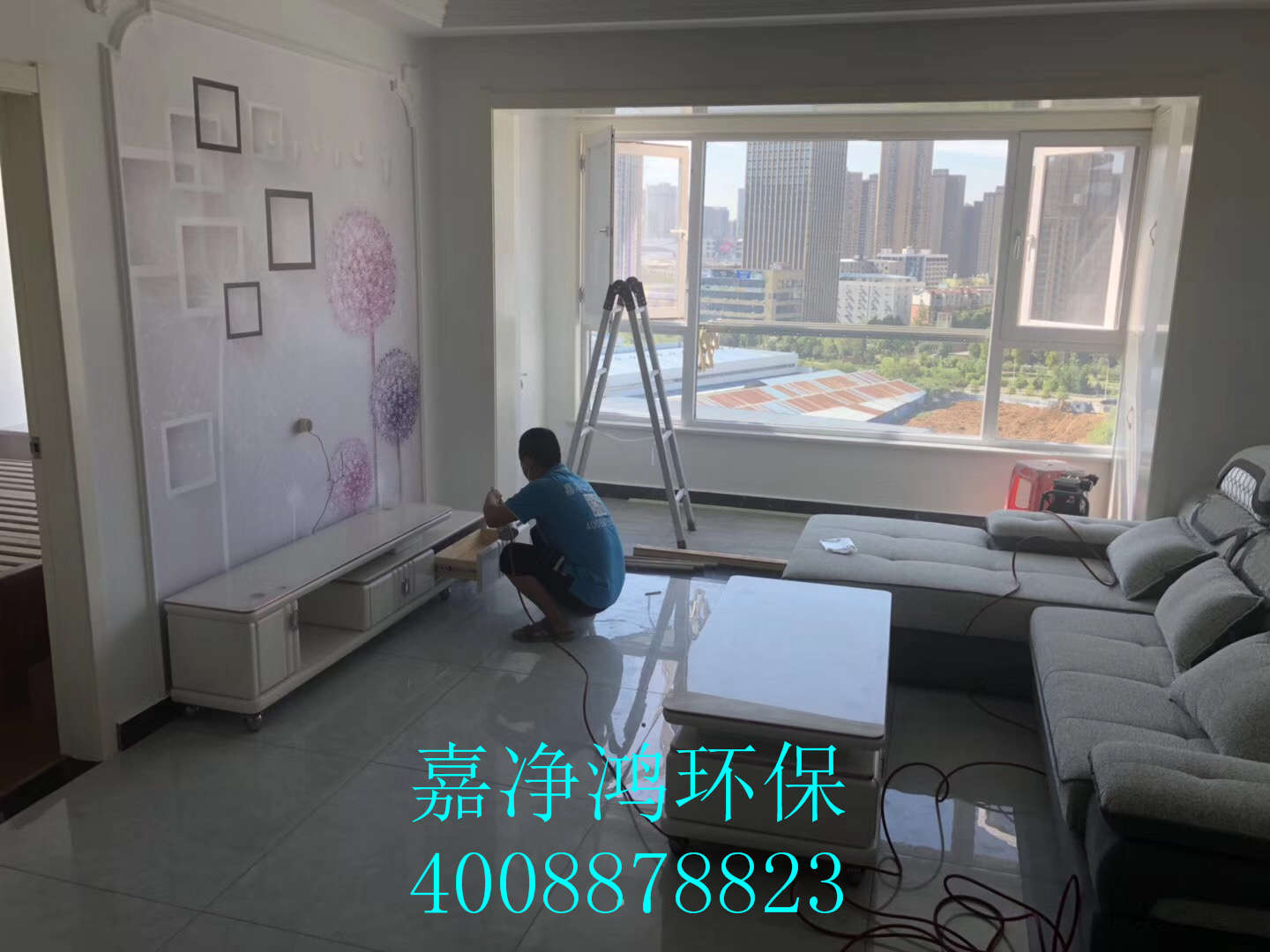 武漢市嘉凈鴻環(huán)?？萍加邢薰? style=